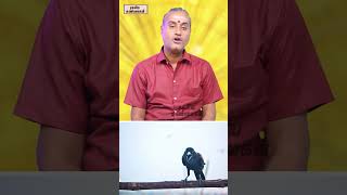 ககம சவம அசவம ?