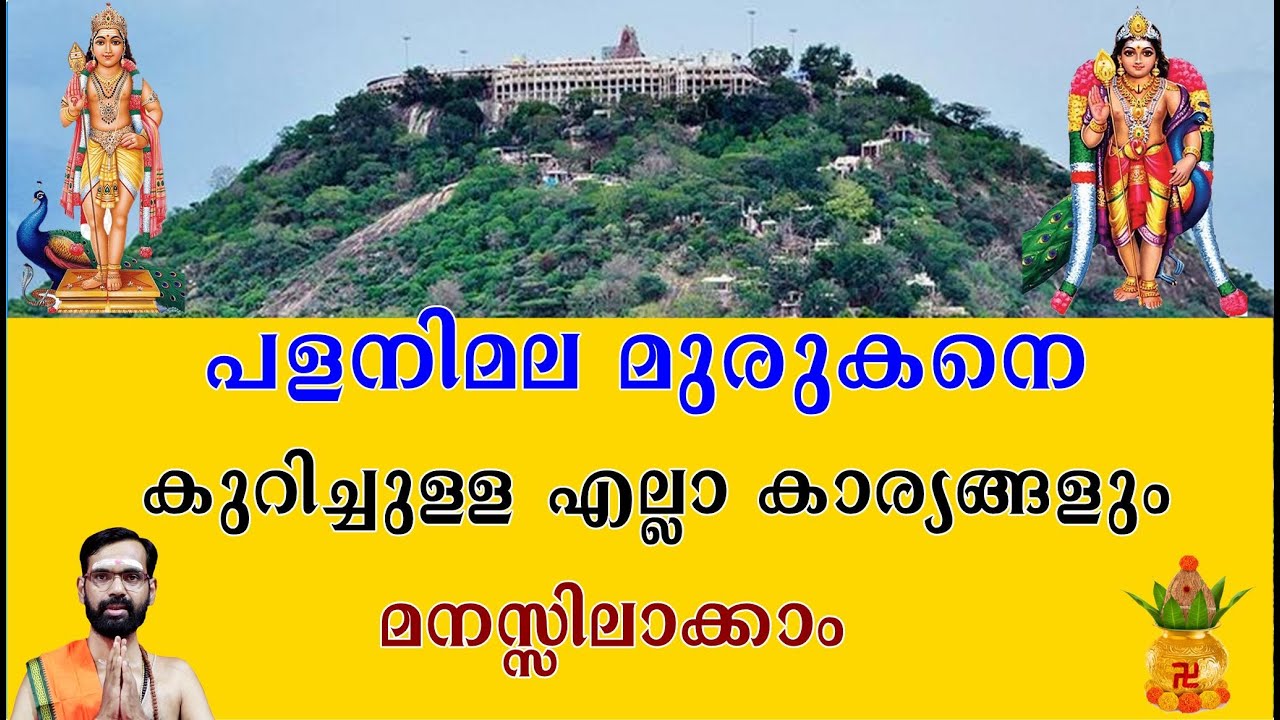 പളനിമല മുരുകനെ കുറിച്ചുള്ള എല്ലാ കാര്യങ്ങളും മനസ്സിലാക്കാം! everything about Palanimala Murugan