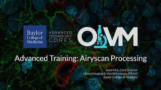 Training: Advanced Airyscan Processing