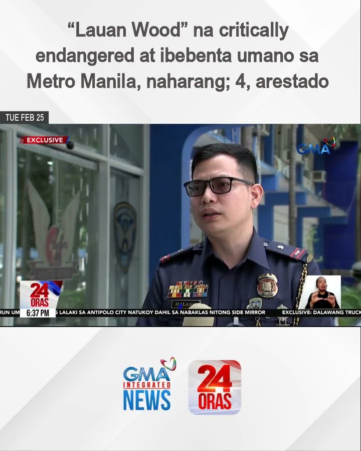 “Lauan Wood” na critically endangered at ibebenta umano sa Metro Manila, naharang | 24 Oras