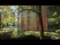 Rectangle Detection (part 2)