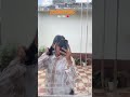 #song #viral #shortvideo #travel #views #nature #viral #video #shorts #dailyshorts
