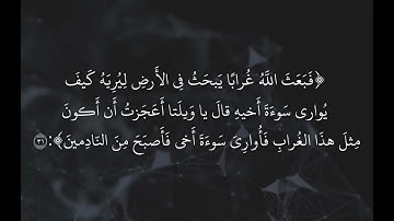 من سورة المائدة|علي عبد السلام اليوسف