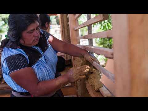 VACA+ECLA 2018 / CHAMULA, CHIAPAS