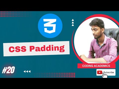 Padding in CSS | How to use Padding Properties in CSS | What is Padding ...