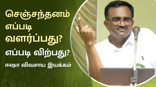 செஞ்சந்தனம்... ஏன் இவ்வளவு மதிப்பு?