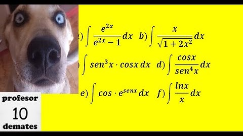 Integrales indefinidas inmediatas ejercicios resueltos Exámenes