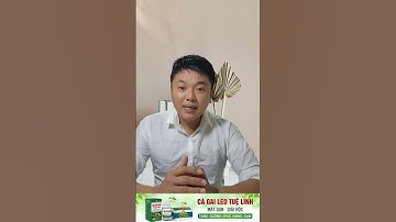 Cách bảo vệ gan những ngày nắng nóng.