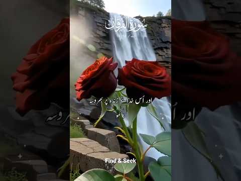 سورة الفرقان الآيات 58 5