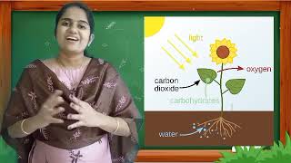 STD 6 BASIC SCIENCE UNIT 2 PART 2 THE ESSENCE OF CHANGE