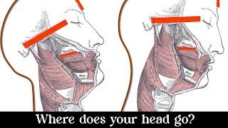 Indirectly Moving Your Maxilla (Forward and Up)