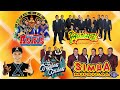 Cumbias Mix -Yaguaru, Fito Olivares, Canaveral, Angeles azules, Askis -Cumbias Viejitas Pero Bonitas