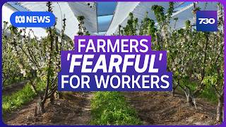 The new migration rules affecting skilled workers, backpackers and international students | 7.30