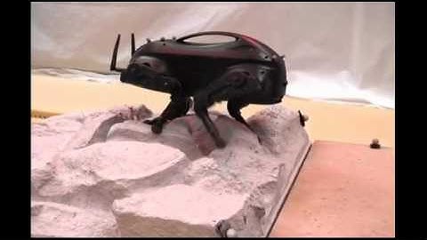 LittleDog Robot Is Super Creepy