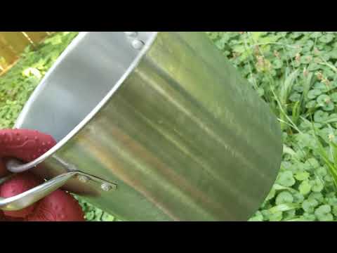 Best Way to Kill Poison Ivy! (Non-Toxic!) Organic Method