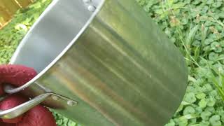 Best Way to Kill Poison Ivy Non-Toxic Organic Method