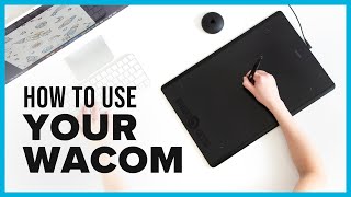 Wacom Tablet Tutorial & Best Setup for Graphic Designers screenshot 5