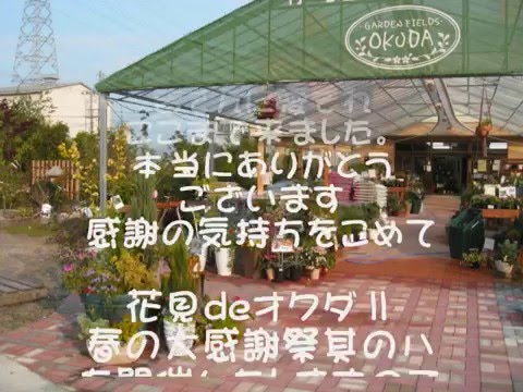 ガーデンフィールズ　オクダ　春の大感謝祭其の八　２０１６