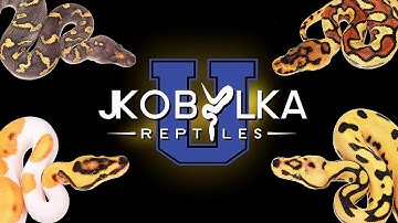 JKR University Series - How to Join Today!