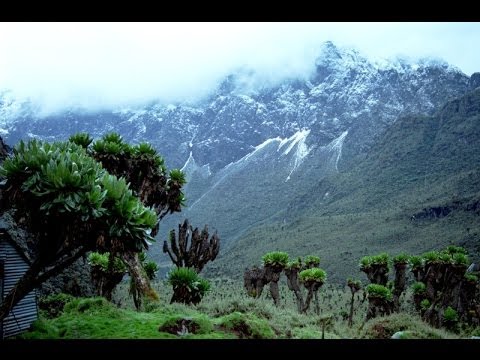 Ugandas Nature | Uganda Gifted By Nature True Natural Beauty lies in Uganda - YouTube