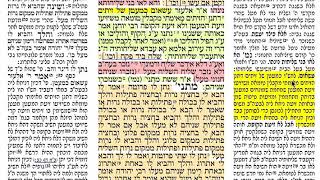דף יומי מסכת מעילה דף כא Dafyomi Meilah daf 21