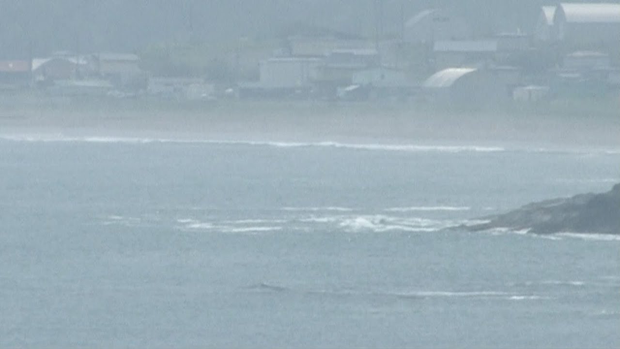 と 海面 は 変動