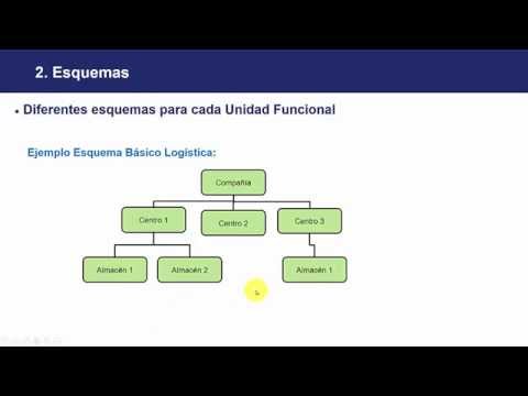 Curso Qué es SAP - Conceptos Generales - Lección 7 Estructura Organizativa - Presentación