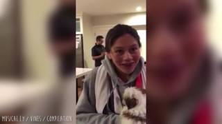 Puppy Surprise Compilation #21 December 2016