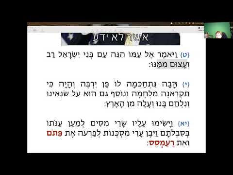 Rabbi Yossi Michalowicz on Lehallel