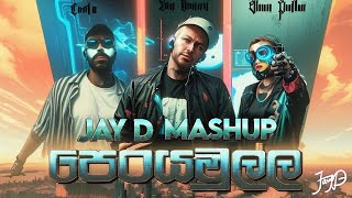 Big Doggy ft Costa & Shan Putha - Periyamulla පෙරියමුල්ල x Party | Jay D Mashup