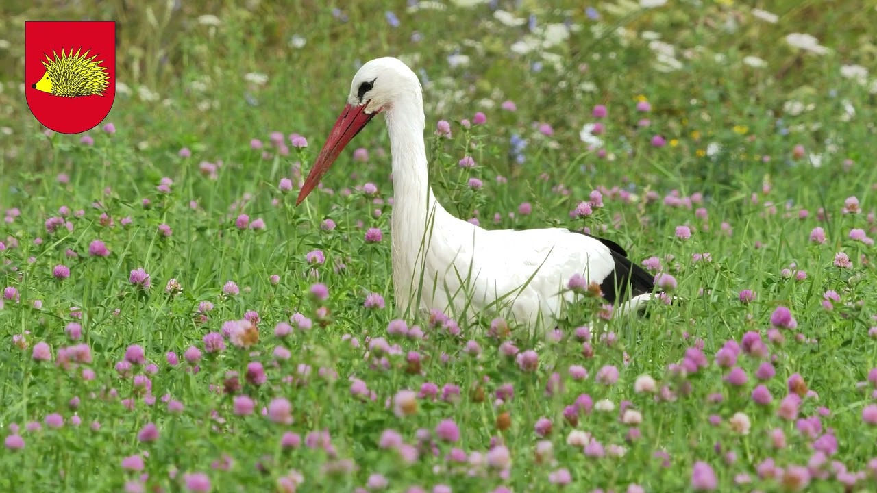 Općina Beretinec - naša općina!