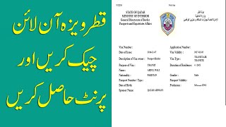 How to check Qatar Visa and Print Online screenshot 3