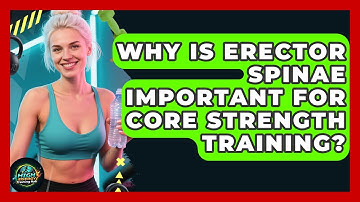 Why Is Erector Spinae Important For Core Strength Training? - High Energy Training Hub