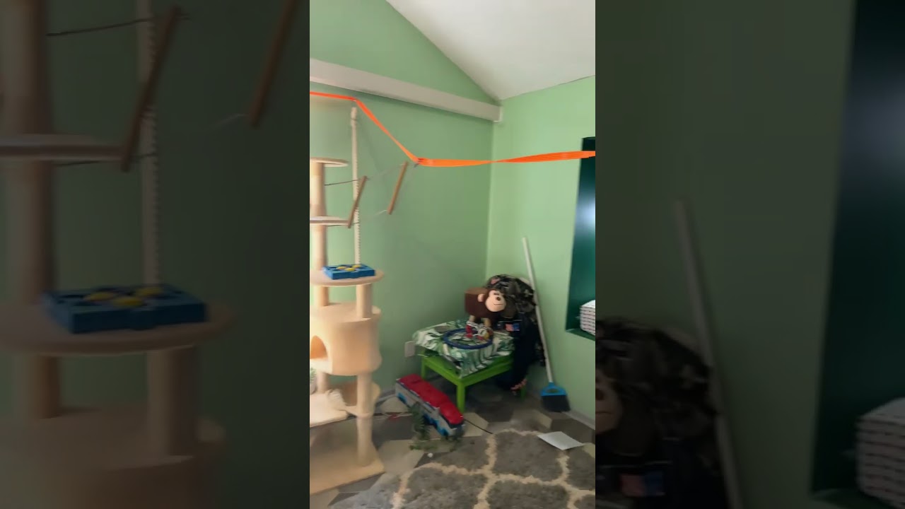 Monkey's Playroom Tour! 