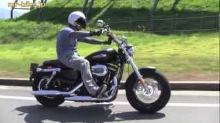 今年ハーレー・ダビッドソンは創業110周年、2013年モデルは