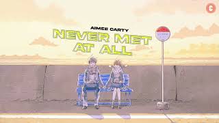 [Lyrics + Vietsub] Never Met at All - Aimee Carty