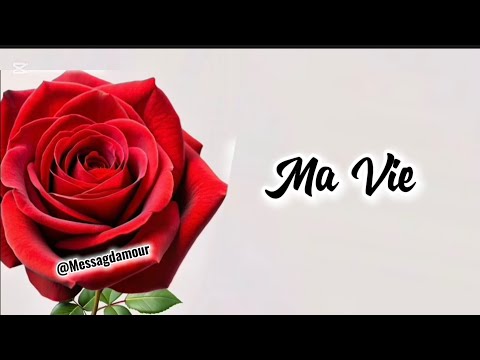 Bonjour Mon Amour Je T Aime De Tout Mon Cœur Jolie Vidéo D Amour Lettre D Amour Romantique