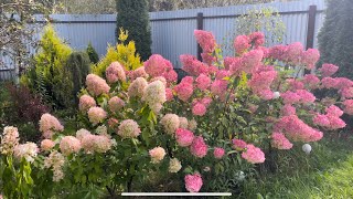 :    13  2023 , !  .  .