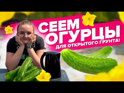 ВАЖНО ЗНАТЬ ЕСЛИ ВЫРАЩИВАЕТЕ ОГУРЦЫ НА УЛИЦЕ! МИКОРИЗА