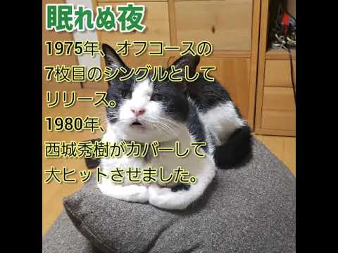 『眠れぬ夜』(西城秀樹)・・唄猫亭とりこ