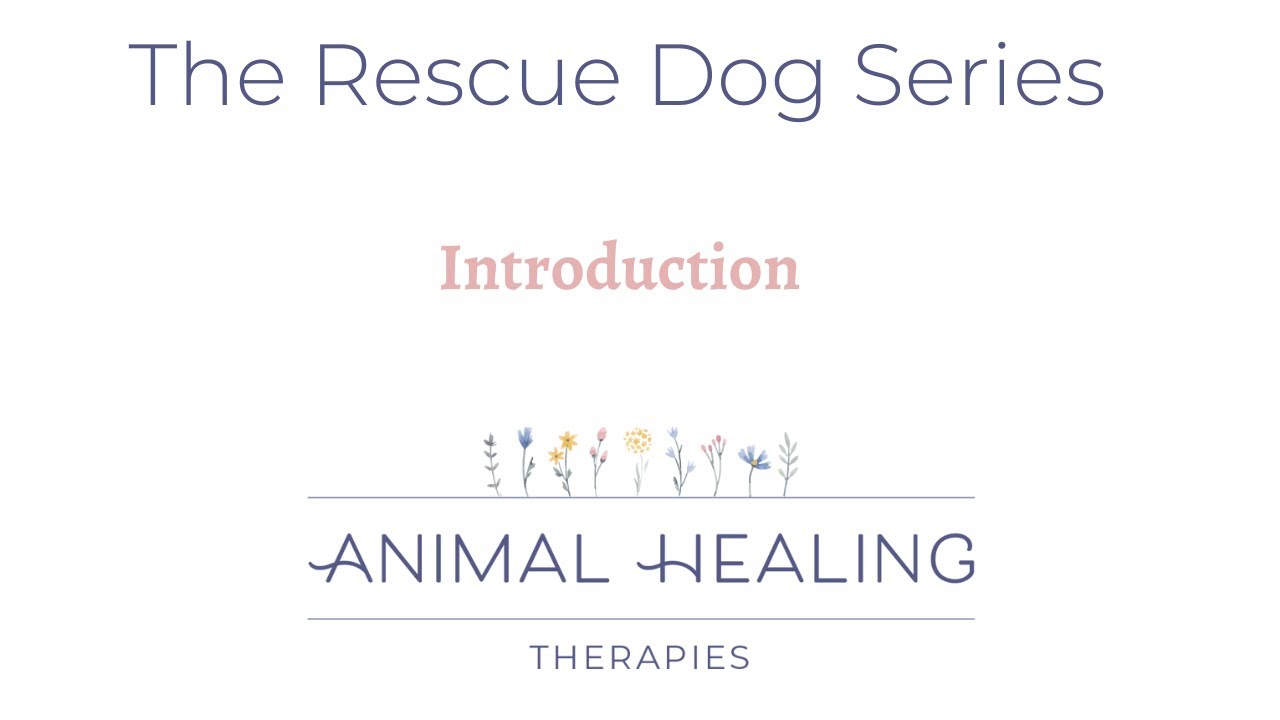 Intuitive Animal Healing and Natural Plant Based Remedies for the Rescue or Foster Dog.