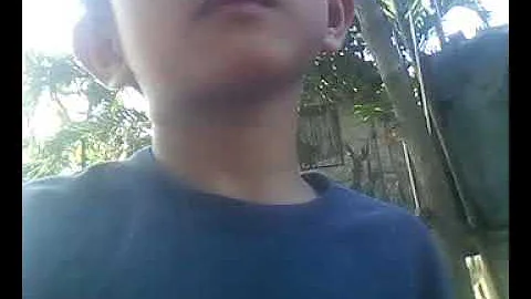 Francis Jerome Avelino