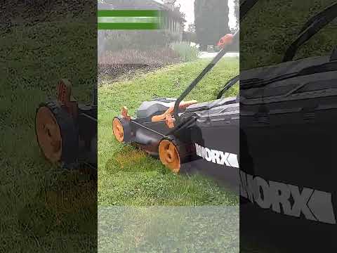 TOP-6. Best Lawn