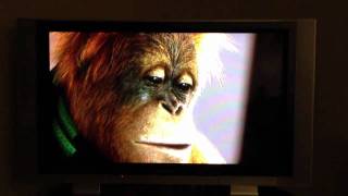 Robitussin Monkey Commercial