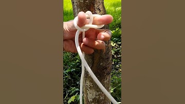 Idea for you! I made an oddly fast and easy technique to tie the Zeppelin Loop around the tree!