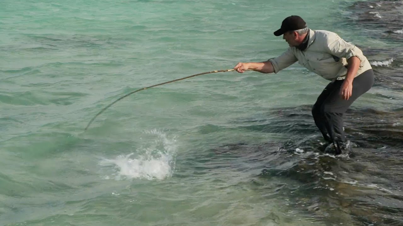 TECHNIQUE de pêche OLD SCHOOL - Cyril Chauquet 