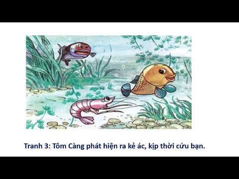 Kể chuyện: Tôm càng và cá con
