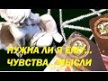 НУЖНА ЛИ Я ЕМУ...В ЧЕМ СМЫСЛ НАШИХ ОТНОШЕНИЙ...ЧУВСТВА..МЫСЛИ...Гадание на Таро на любовь on-line