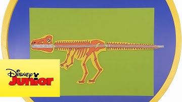 Esqueletos espiralados