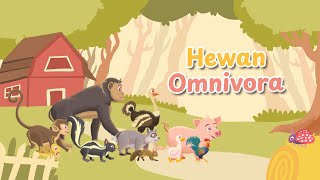Hewan Omnivora | Video Belajar Anak | Video Edukasi